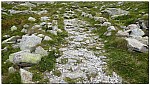 180817-33.jpg 180817-33.jpg
