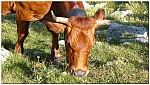 180818-05.jpg 180818-05.jpg