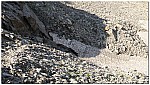 180818-19.jpg 180818-19.jpg