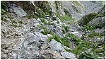 180818-31.jpg 180818-31.jpg