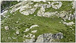 180818-42.jpg 180818-42.jpg