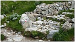 180818-44.jpg 180818-44.jpg