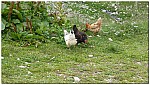 180818-47.jpg 180818-47.jpg