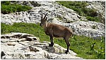 180818-48.jpg 180818-48.jpg