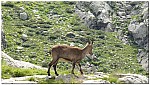 180818-49.jpg 180818-49.jpg