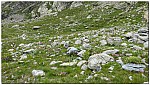 180818-52.jpg 180818-52.jpg