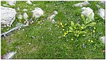 180818-53.jpg 180818-53.jpg