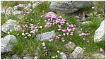 180818-54.jpg 180818-54.jpg