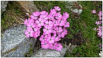 180818-55.jpg 180818-55.jpg