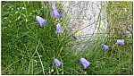 180818-56.jpg 180818-56.jpg