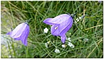 180818-57.jpg 180818-57.jpg