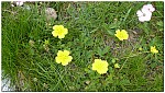 180818-58.jpg 180818-58.jpg