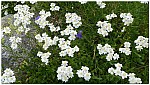 180818-60.jpg 180818-60.jpg