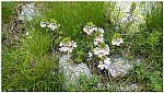 180818-62.jpg 180818-62.jpg