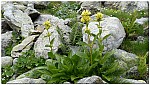 180818-64.jpg 180818-64.jpg