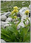 180818-65.jpg 180818-65.jpg