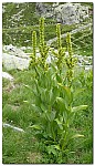 180818-66.jpg 180818-66.jpg