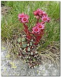 180818-68.jpg 180818-68.jpg