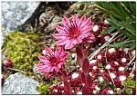 180818-69.jpg 180818-69.jpg