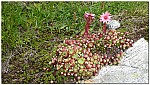 180818-70.jpg 180818-70.jpg