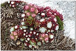 180818-71.jpg 180818-71.jpg