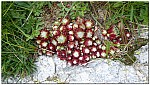 180818-72.jpg 180818-72.jpg