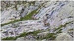 180819-01.jpg 180819-01.jpg