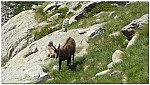 180819-27.jpg 180819-27.jpg