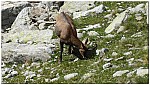 180819-28.jpg 180819-28.jpg