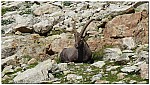 180819-31.jpg 180819-31.jpg