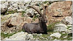 180819-32.jpg 180819-32.jpg