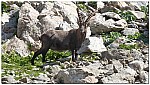 180819-33.jpg 180819-33.jpg