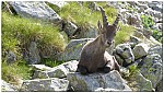 180819-35.jpg 180819-35.jpg
