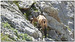 180819-36.jpg 180819-36.jpg