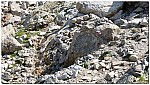 180819-41.jpg 180819-41.jpg