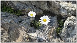 180819-44.jpg 180819-44.jpg
