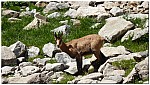 180819-48.jpg 180819-48.jpg