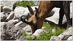 180819-49.jpg 180819-49.jpg