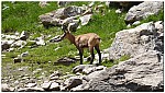 180819-50.jpg 180819-50.jpg