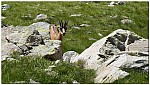 180819-55.jpg 180819-55.jpg