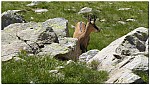 180819-56.jpg 180819-56.jpg