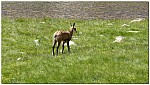 180819-57.jpg 180819-57.jpg