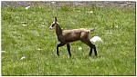 180819-58.jpg 180819-58.jpg