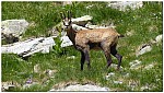 180819-59.jpg 180819-59.jpg