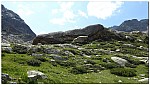 180819-68.jpg 180819-68.jpg