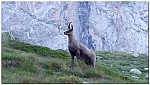 180820-02.jpg 180820-02.jpg