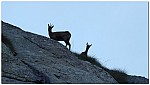 180820-05.jpg 180820-05.jpg
