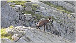 180820-13.jpg 180820-13.jpg