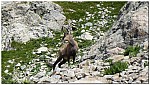 180820-47.jpg 180820-47.jpg