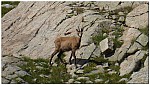 180820-50.jpg 180820-50.jpg